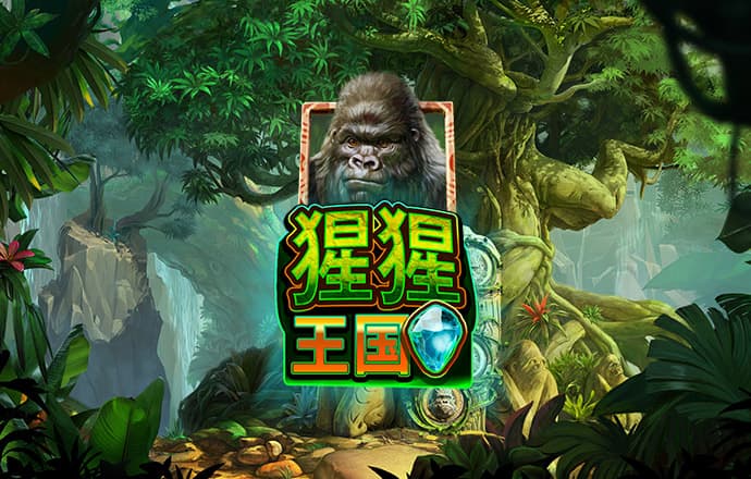 滚球购买软件